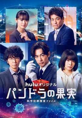 什么人适合seo优化